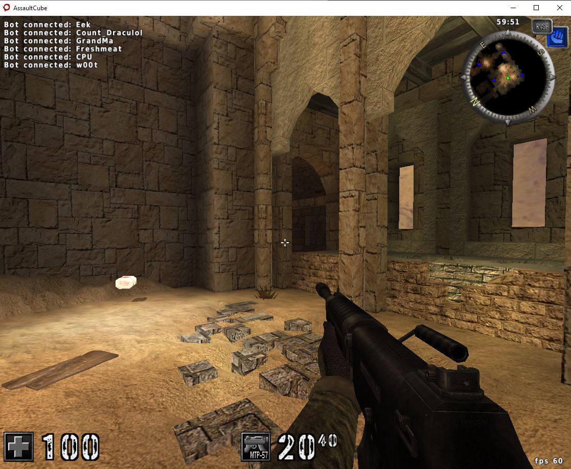 AssaultCube Example