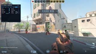 Counter-Strike 2 Internal demo